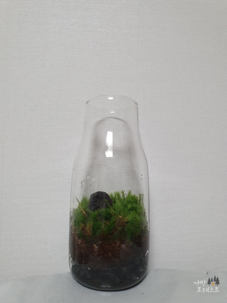 테라리움 만드는 방법 3