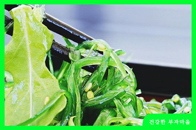 칼륨이 많은 음식 - 해조류