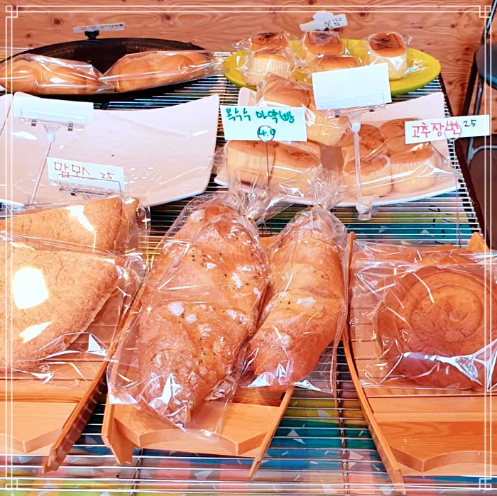 전북 순창 맛집 고추장빵&#44; 깨순이