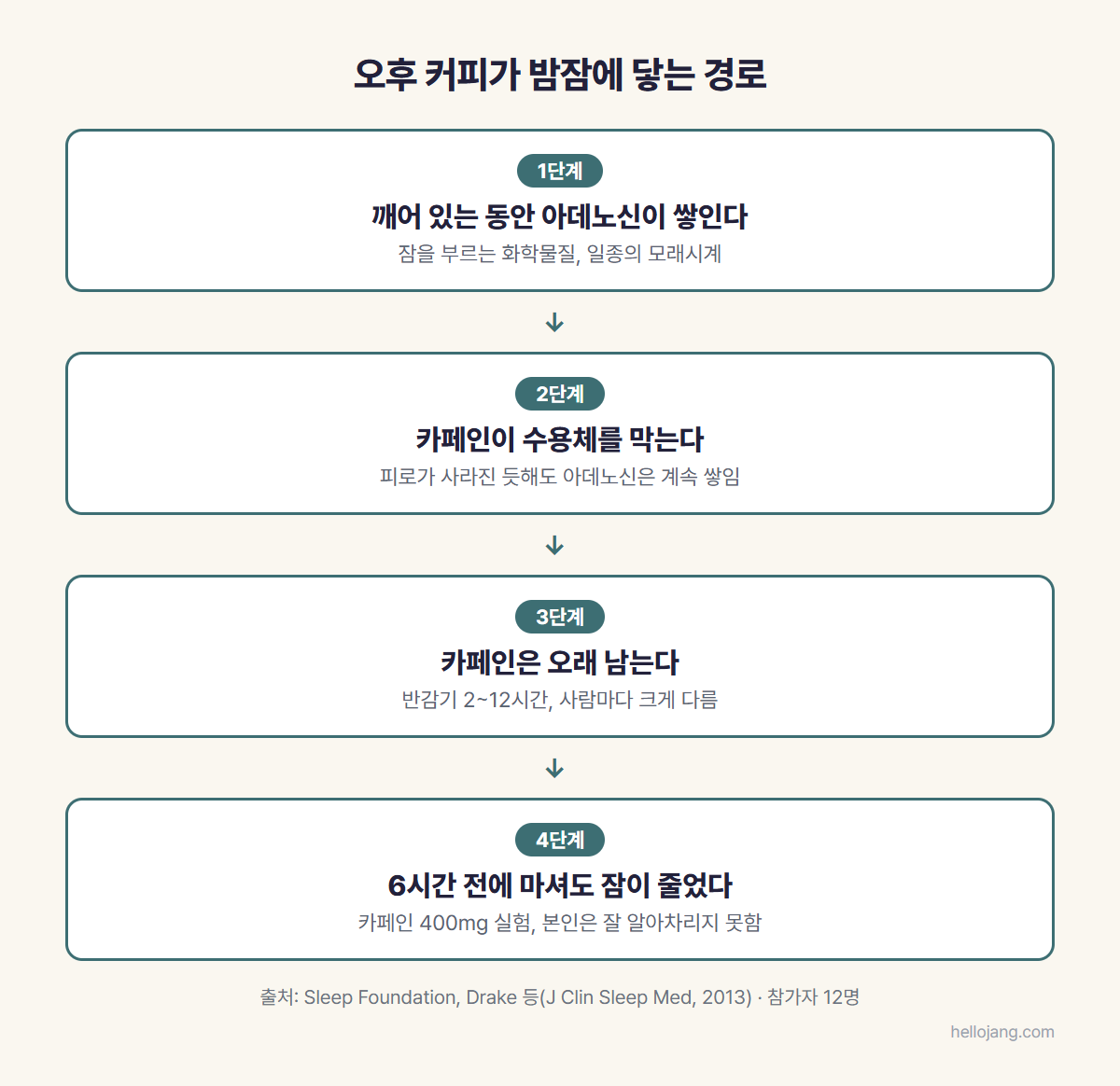 깨어 있는 동안 쌓이는 아데노신, 수용체를 막는 카페인, 2~12시간의 반감기, 잠자기 6시간 전 카페인도 수면을 줄였다는 연구까지 오후 커피가 밤잠에 닿는 경로를 정리한 단계 그림