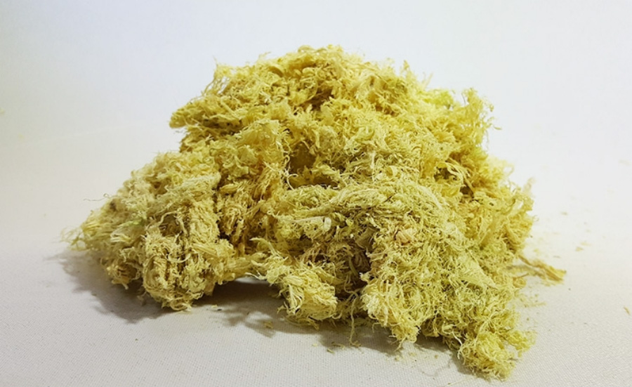 야생에서 채취를 한 대나무의 속껍질을 벗겨서 만든 죽여를 하얀 바닥 위에 수북하게 쌓아두고 찍은 사진