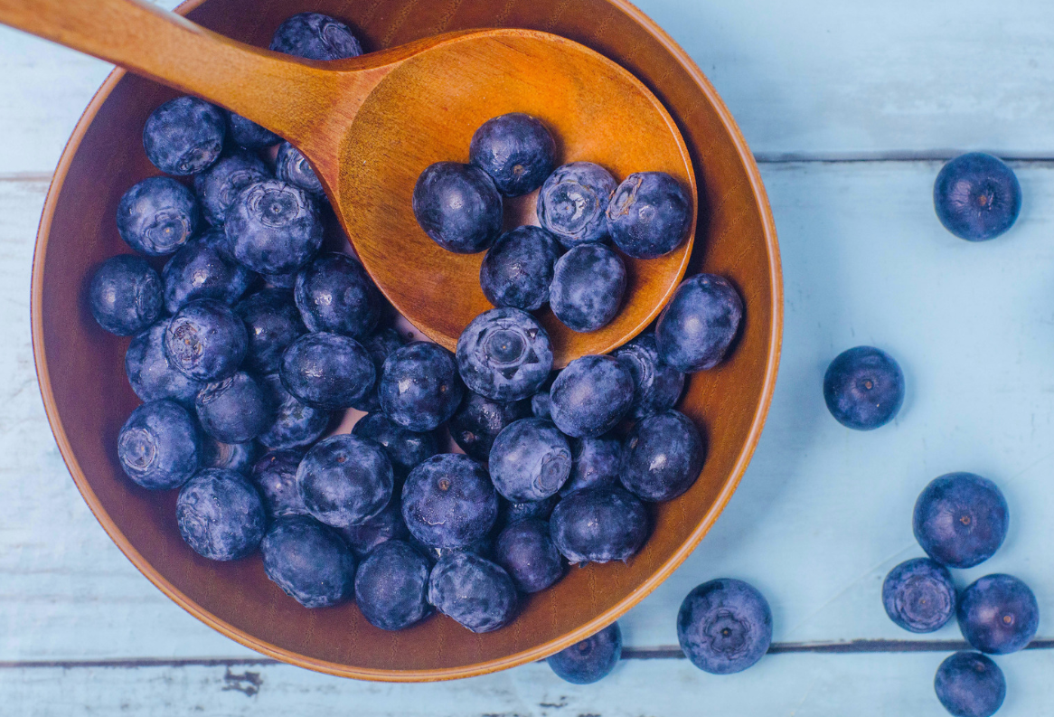 블루베리 이미지