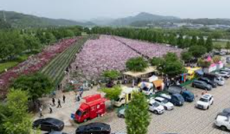 2026 황매산 철쭉축제 등산코스는?