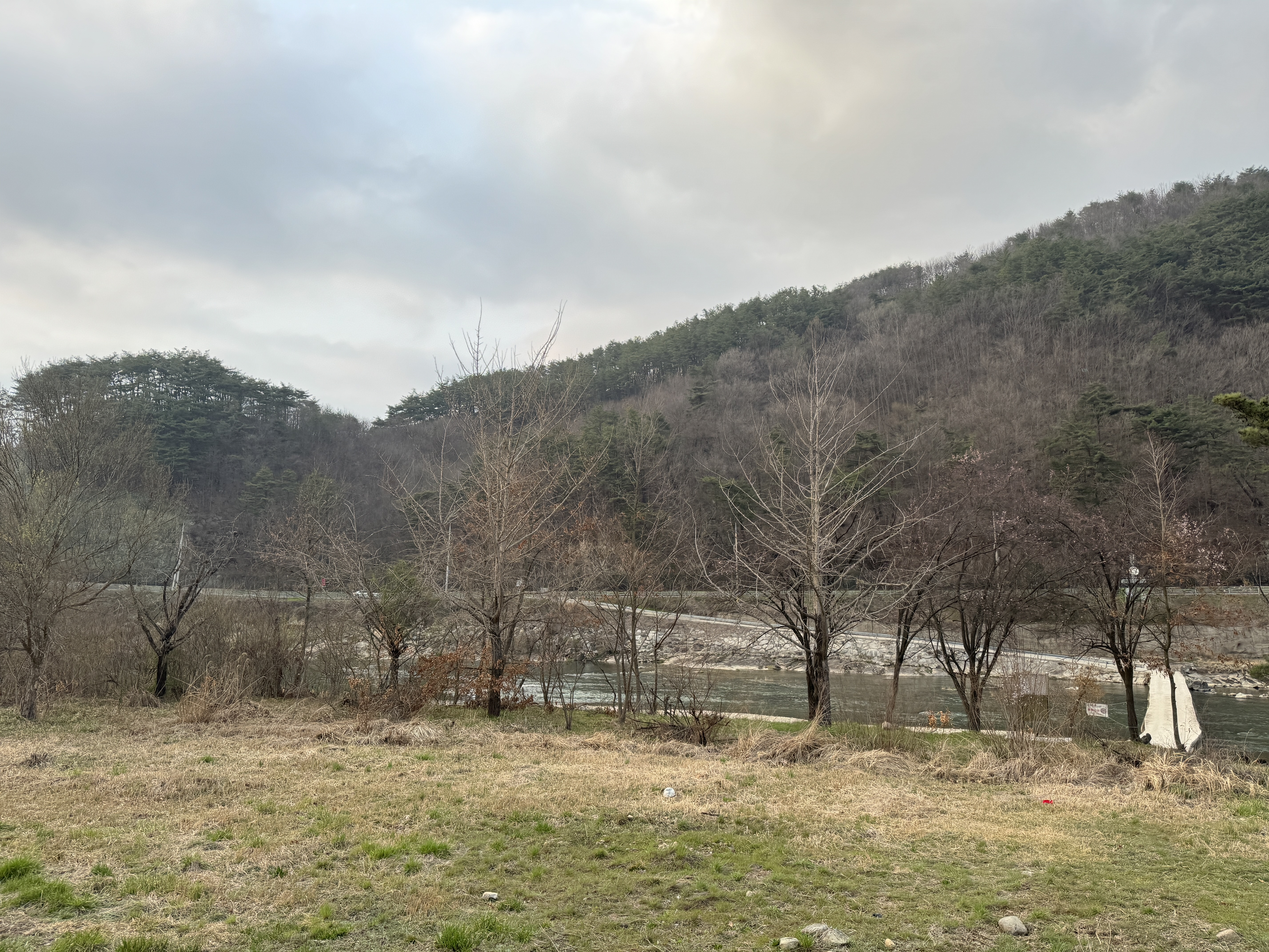 강변사리캠핑장