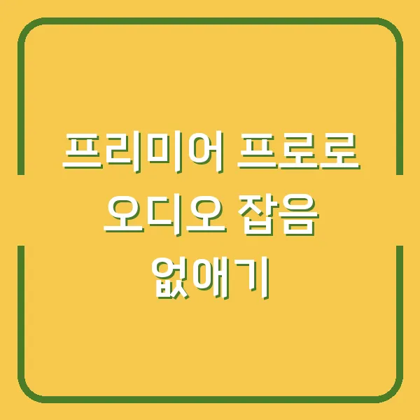 프리미어 프로로 오디오 잡음 없애기