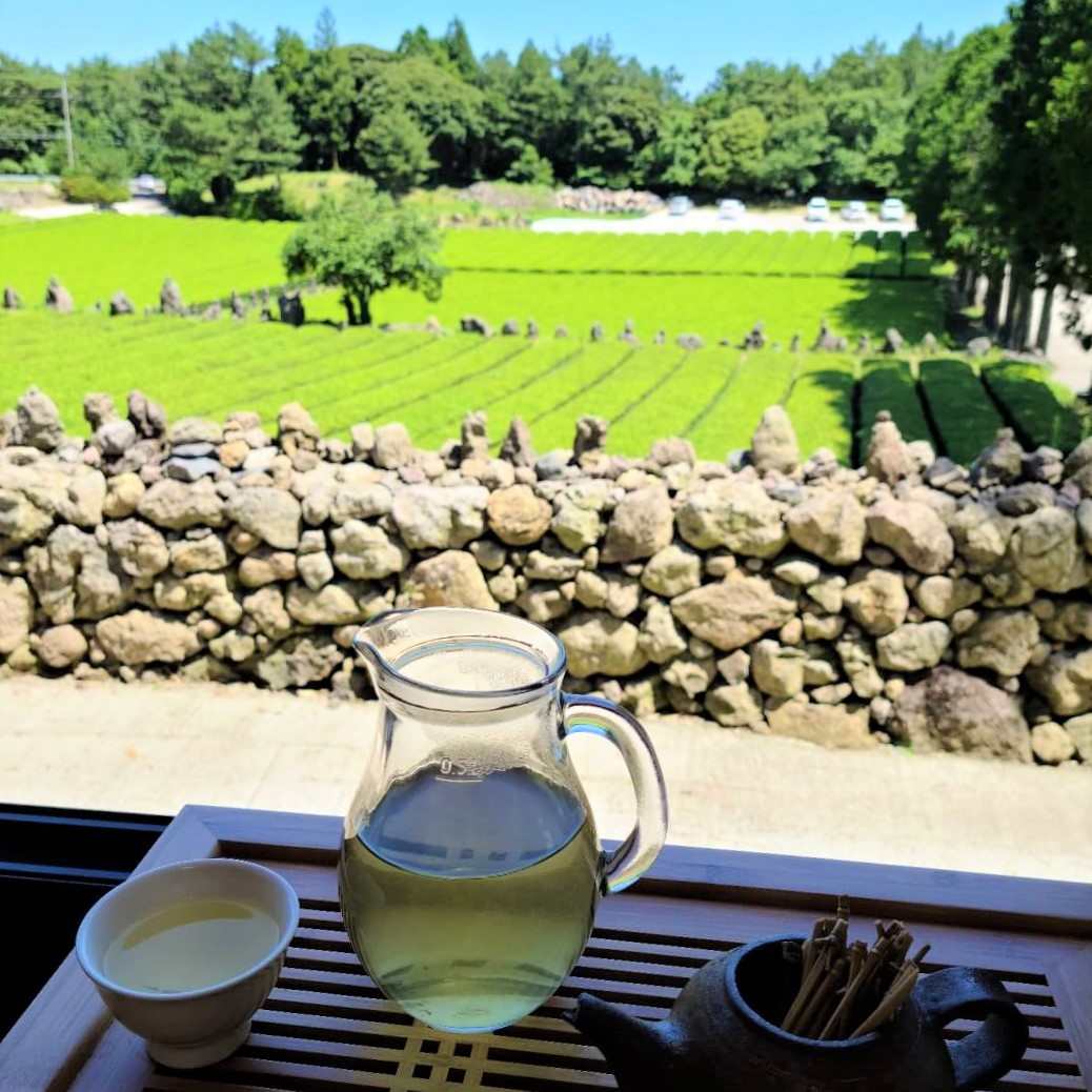 9월 제주도 여행