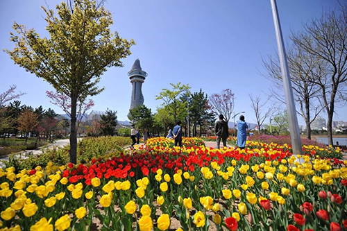 청초호3