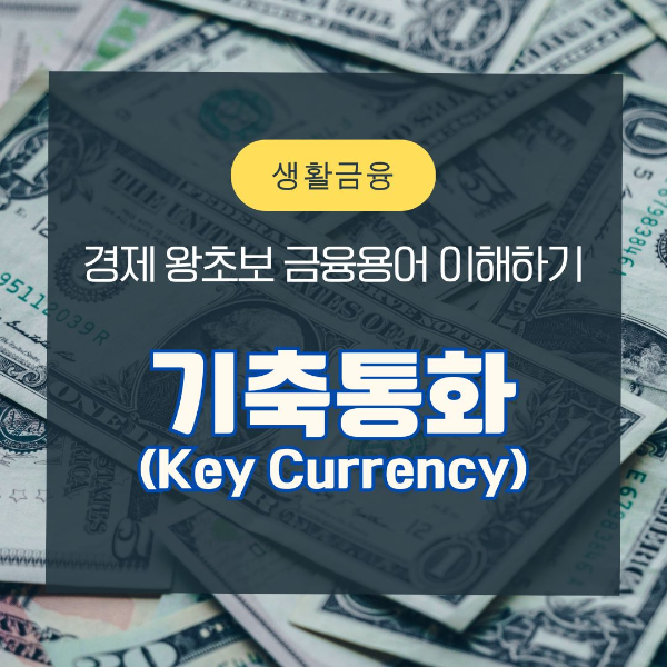 금융용어/이해하기/기축통화/Key/Currency