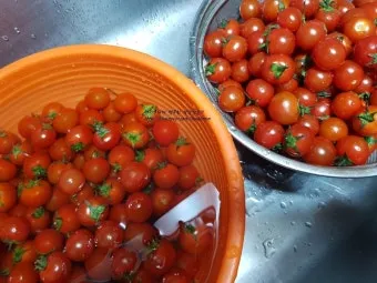 2주 이상 방울토마토 보관 시 꿀팁 오래 보관_8