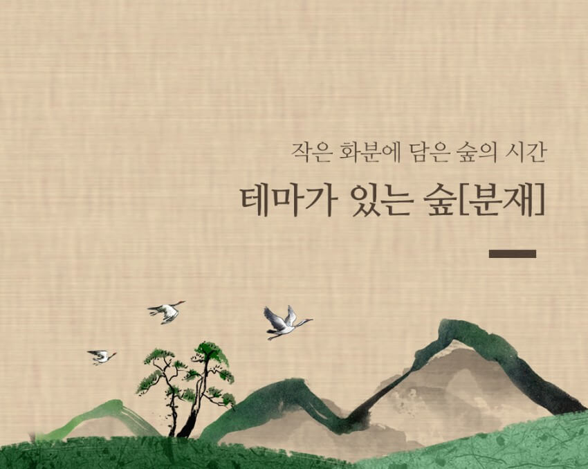 2025 화담숲 여름 수국축제&#44; 여름의 낭만을 품다!