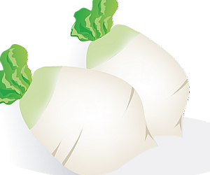 소화에 좋은 음식 무