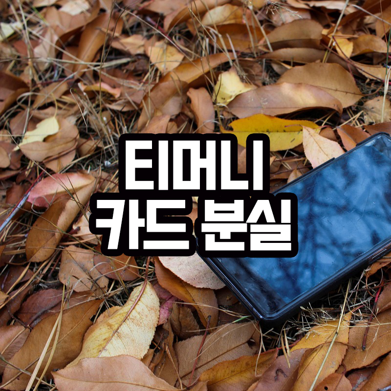 티머니 카드 분실