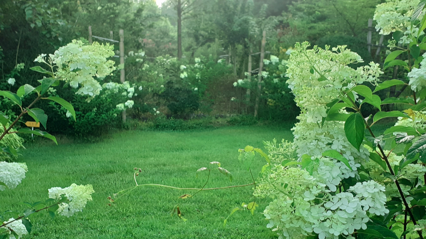 특색있고 아름다운 민간 정원 30선 추천 여행 - 22. 담양 죽화경