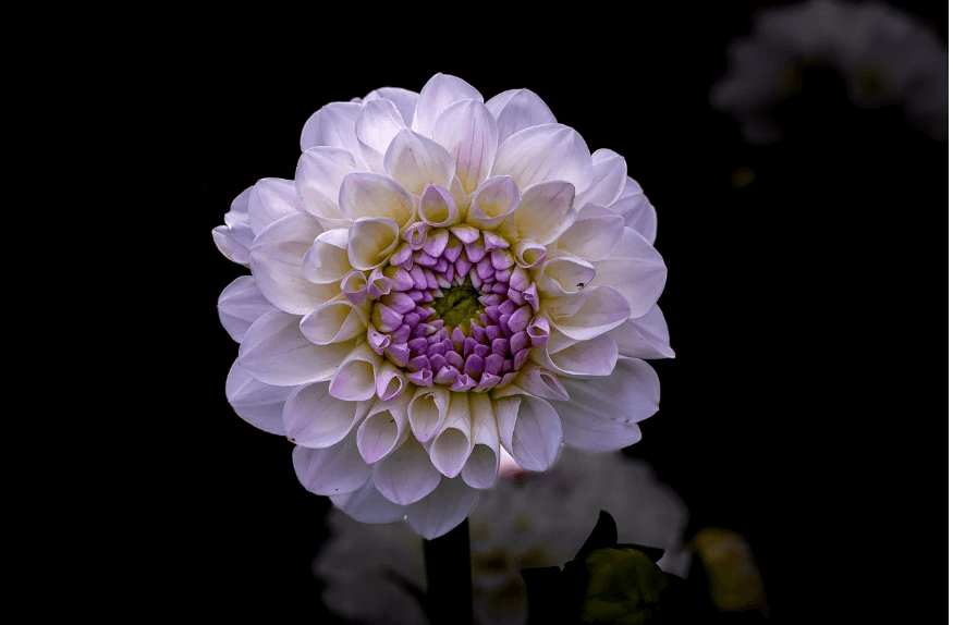 #안녕 단독 콘서트, 팬심 폭발! 날짜·예매 총정리