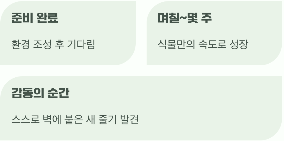 다섯째, 인내심, 가장 위대한 거름