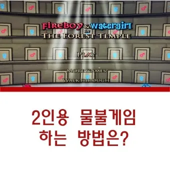물불게임 2인용 협동 게임하기 포레스트템플 모험 가이드_26