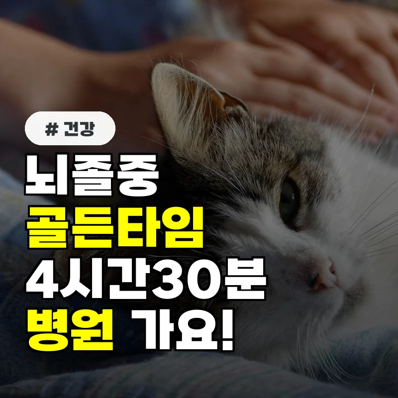 뇌졸중 골든타임 4시간 30분! 의심 증상 보이면 당장 병원 가세요