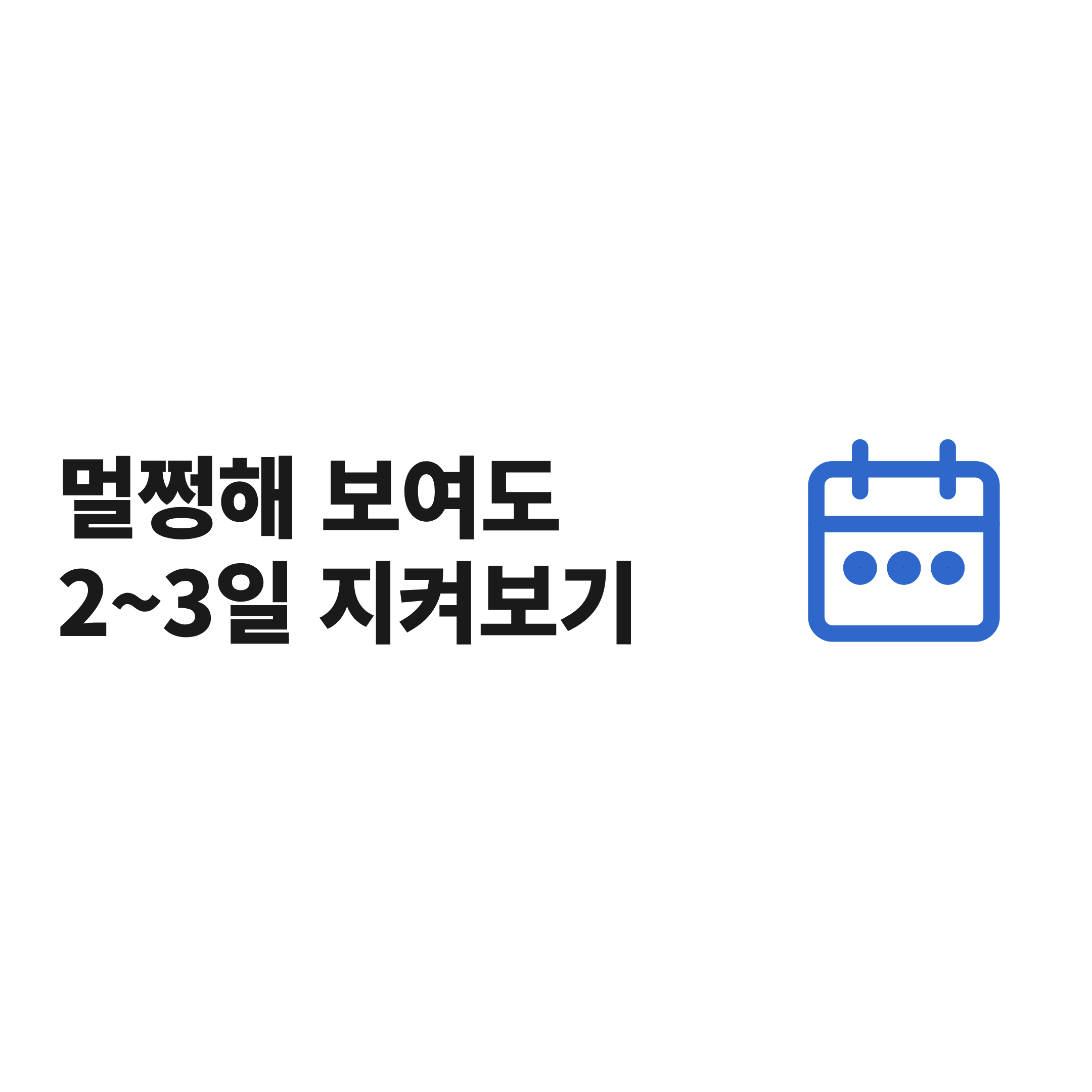 "멀쩡해 보여도 2~3일 지켜보기" 타이포와 달력 아이콘이 있는 안내 그림