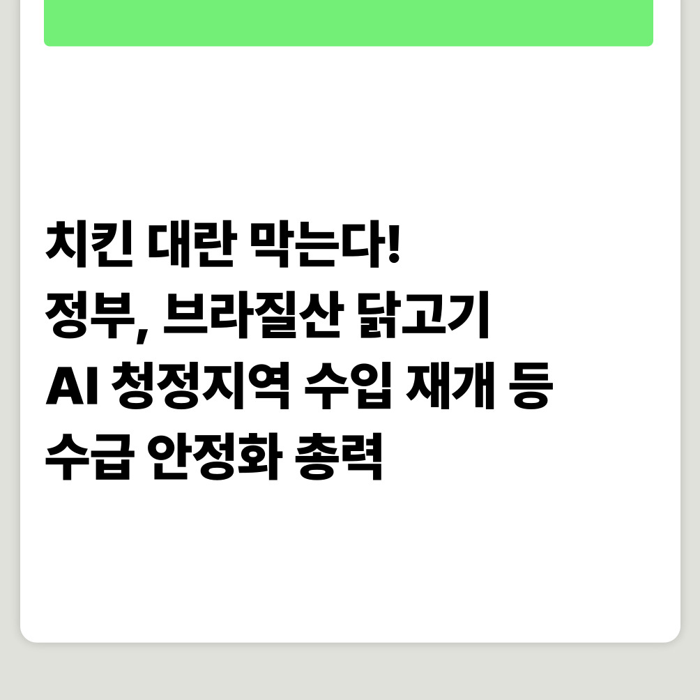 "치킨 대란 막는다! 정부, 브라질산 닭고기 AI 청정지역 수입 재개 등 수급 안정화 총력"