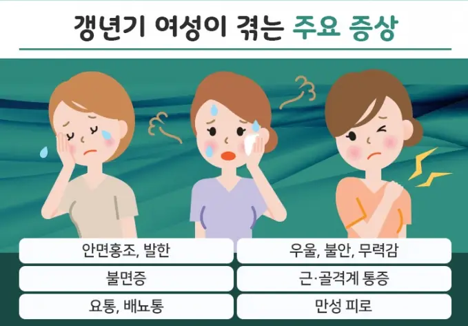 석류로겐-갱년기-증상-완화