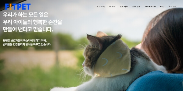 핏펫