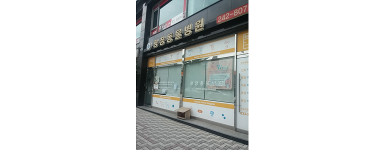 춘천시 동물병원