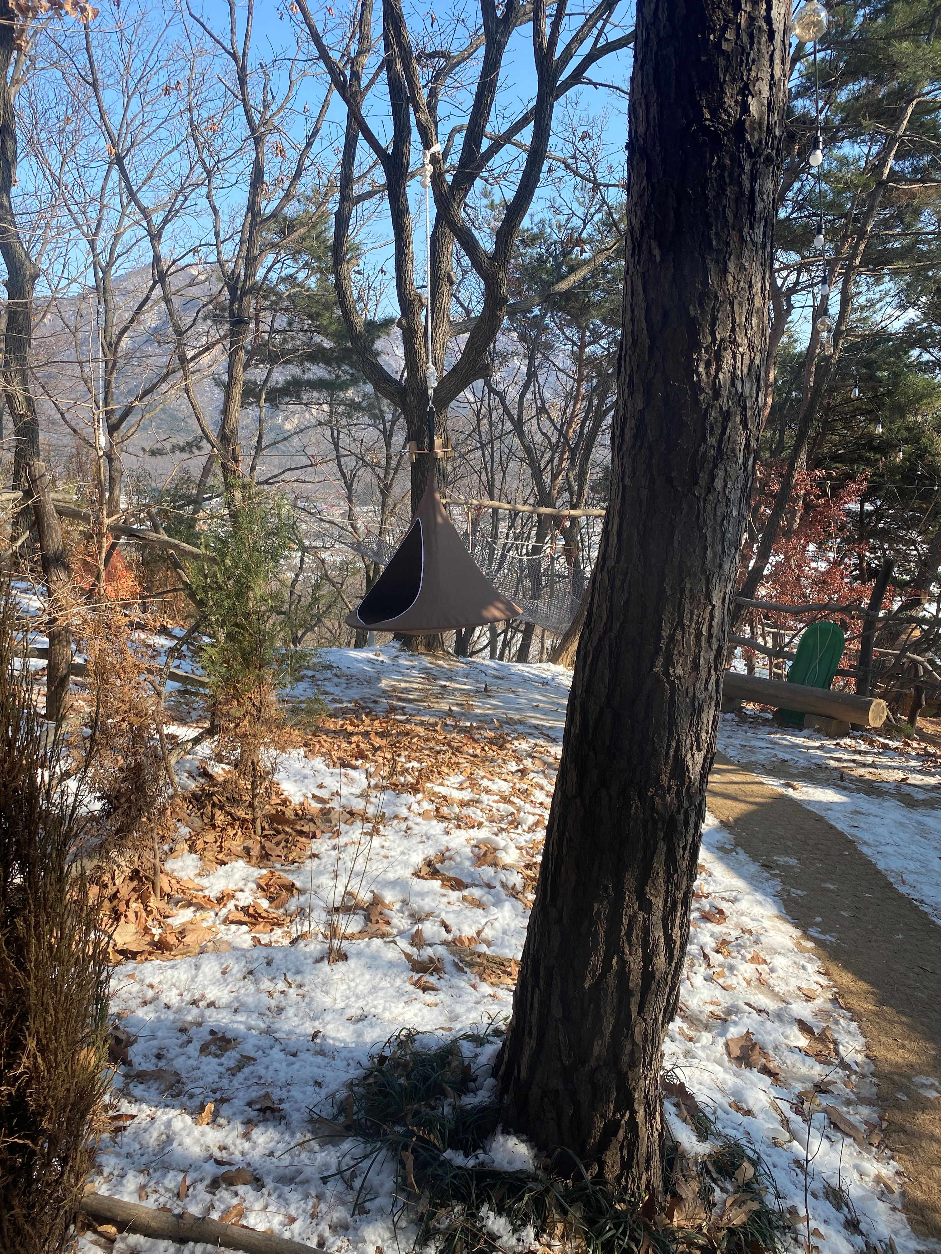 트리하우스 외부