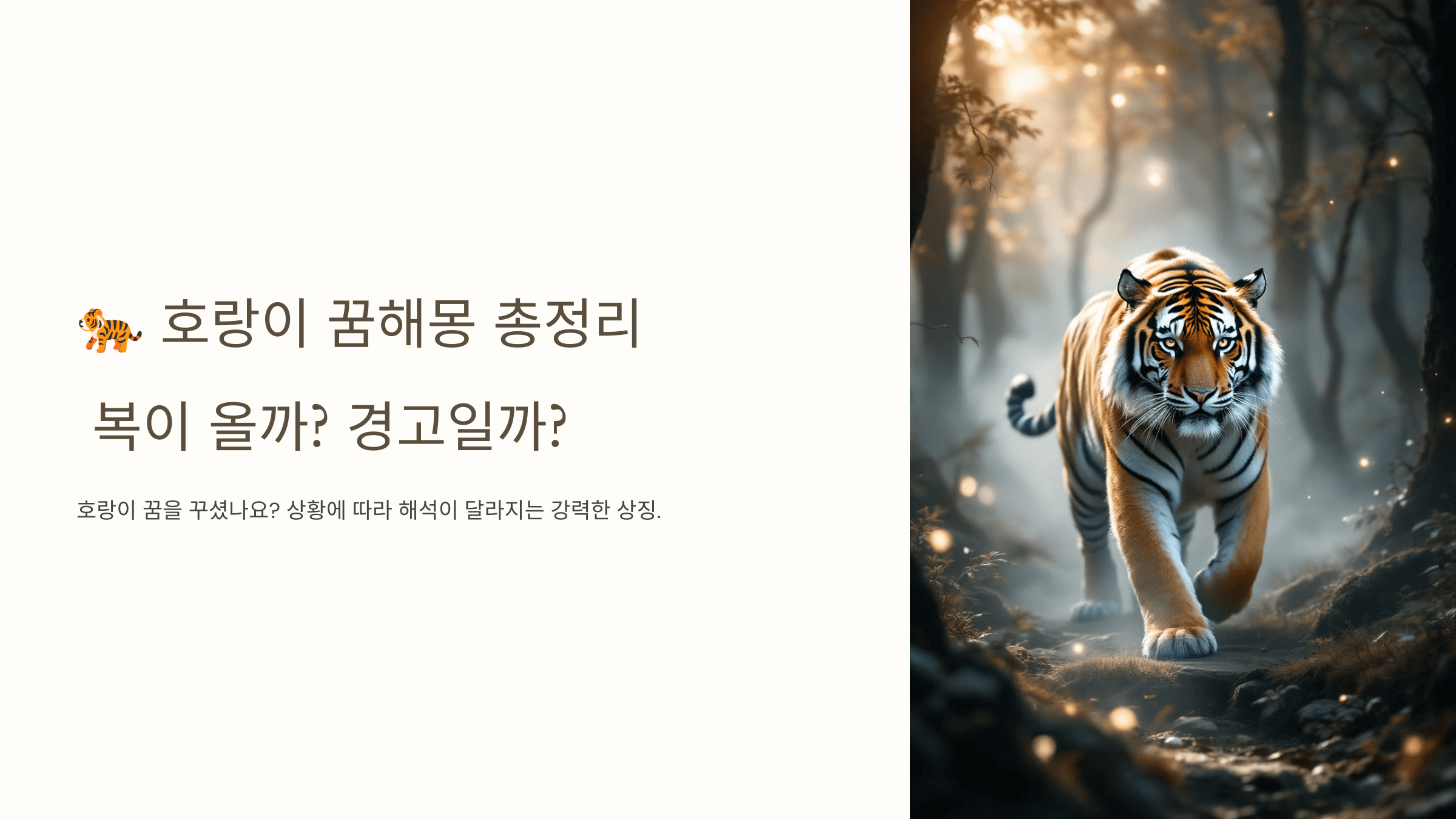 호랑이 사진입니다.