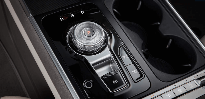 카니발 하이브리드