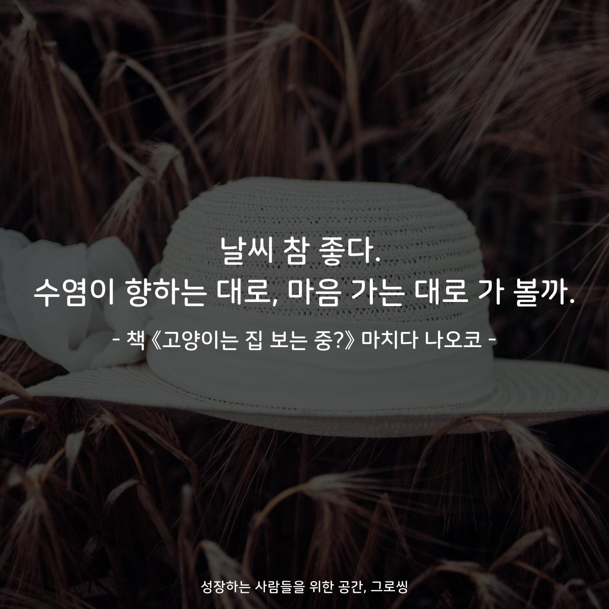 날씨 참 좋다.
수염이 향하는 대로, 마음 가는 대로 가 볼까.