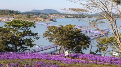[섬 여행 추천] 전남 신안군 퍼플섬(반월-박지도) 가는법, 민박 및 펜션, 체험 및 볼거리, 먹거리, 1박 2일 일정표