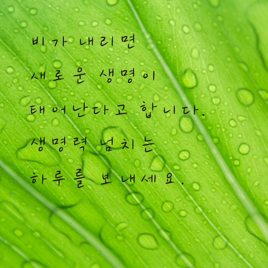 7월 장마철 인사말 비오는 날 이미지 문구