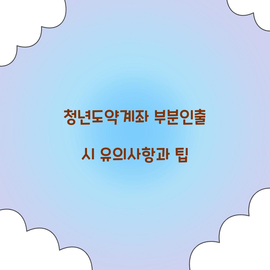 청년도약계좌 부분인출
