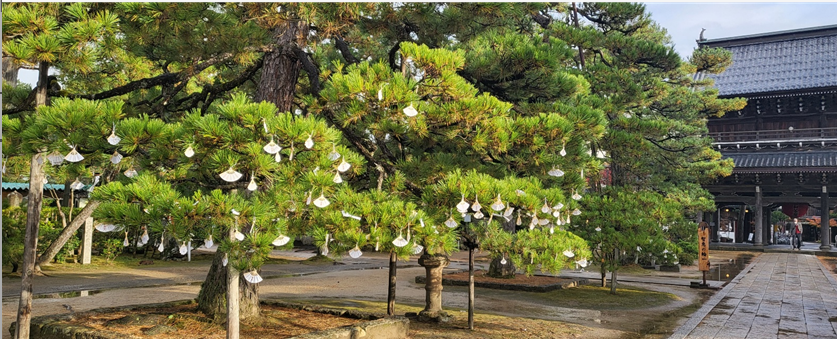 이세 신궁과 연계된 치온지(智恩寺) 풍경