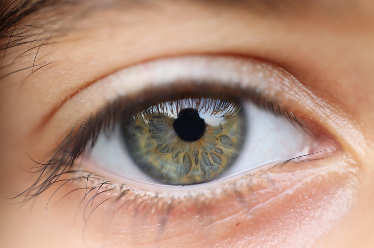 내가 찍은 사진, 함부로 사용해도 될까? – 저작권법과 퍼블리시티권