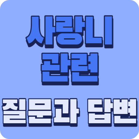 사랑니 관련 질문과 답변