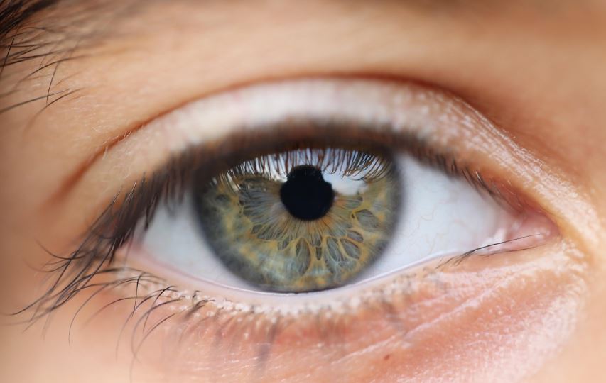 눈 피로 해결법 관련 사진