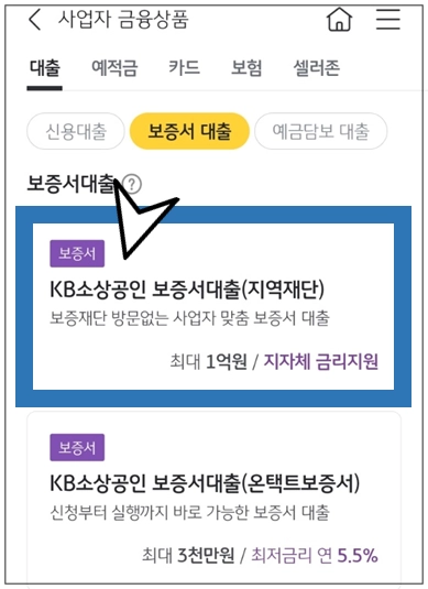 보성군-개인사업자대출-step4-KB소상공인보증서대출-메뉴선택