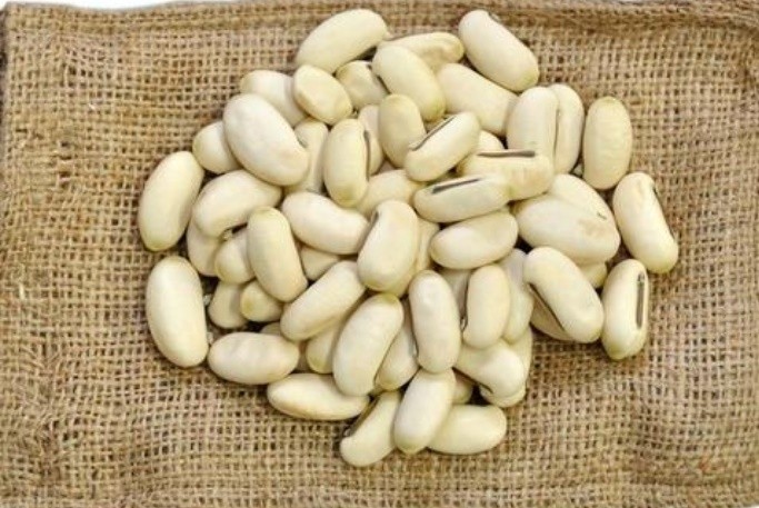 작두콩 효능 9가지 부작용