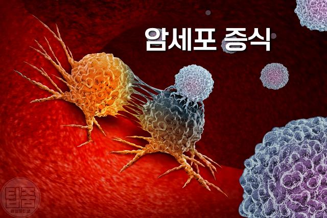 암세포 굶기는 식사법,브로콜리 줄기 효능 먹는법,팁줌