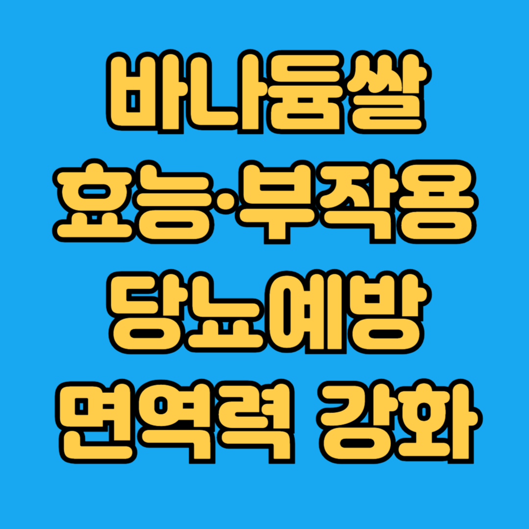 바나듐쌀 효능 부작용 당뇨예방 면역력 강화