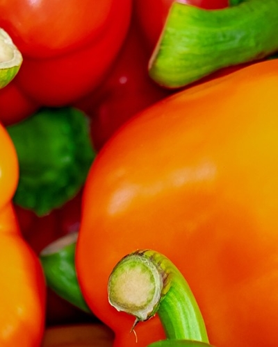 파프리카 효능 사진29