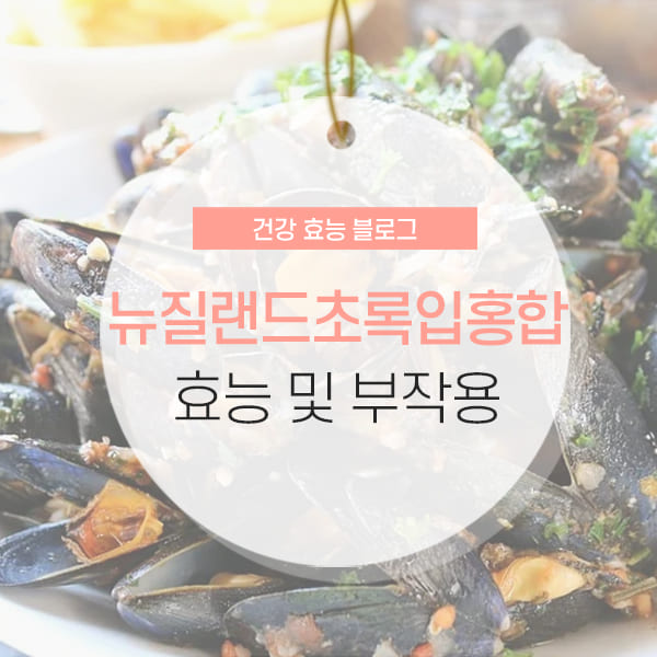 뉴질랜드초록입홍합 뉴질랜드초록입홍합 효능 및 부작용 등 소개 컨텐츠