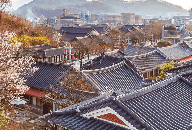 8월 국내 여행지 추천