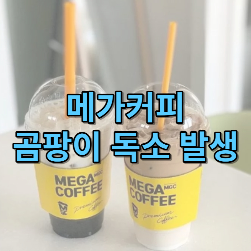 메가커피 곰팡이 독소 발생