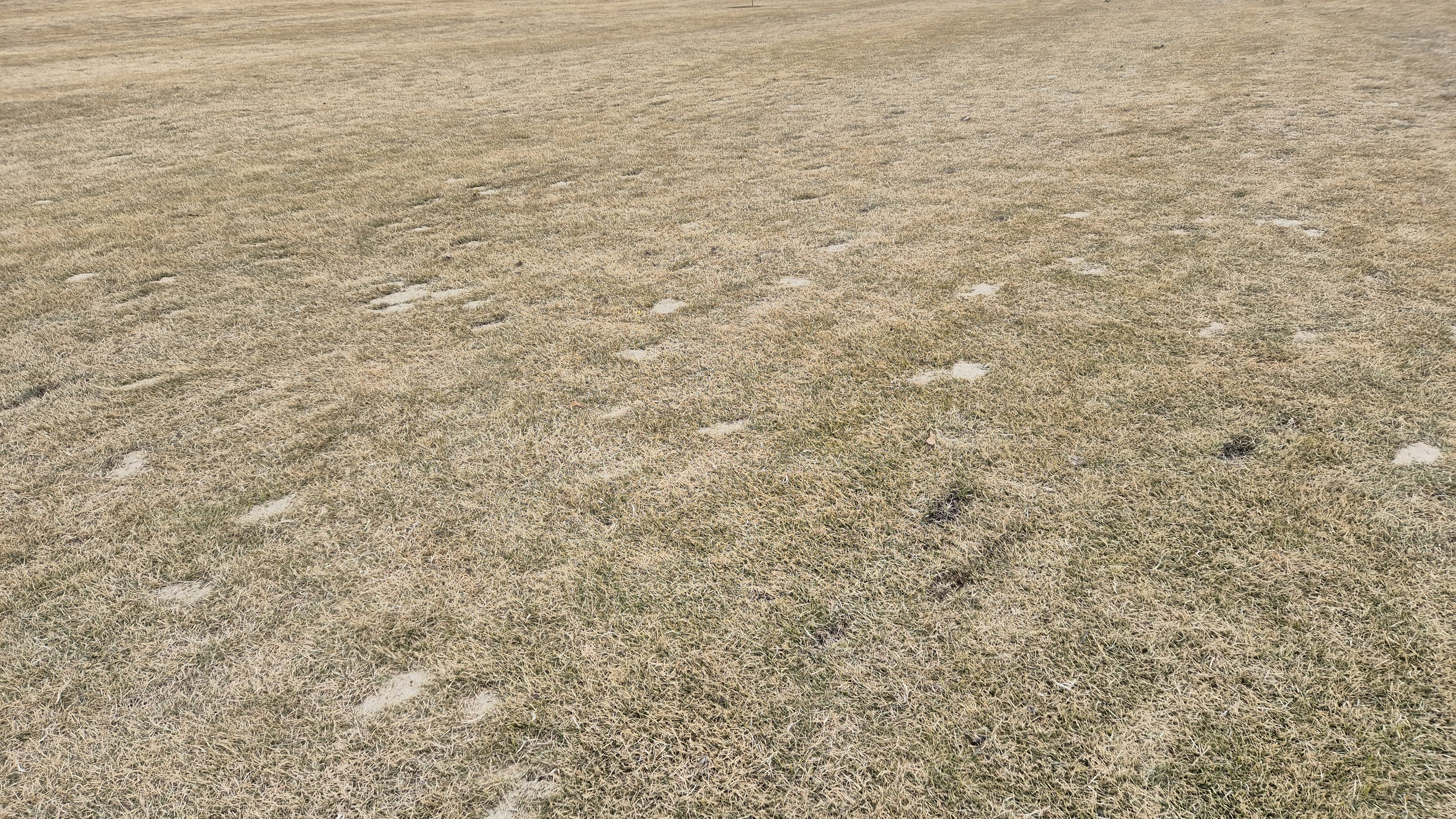 힐데스하임 레이크-힐 코스 코스 관리 상태