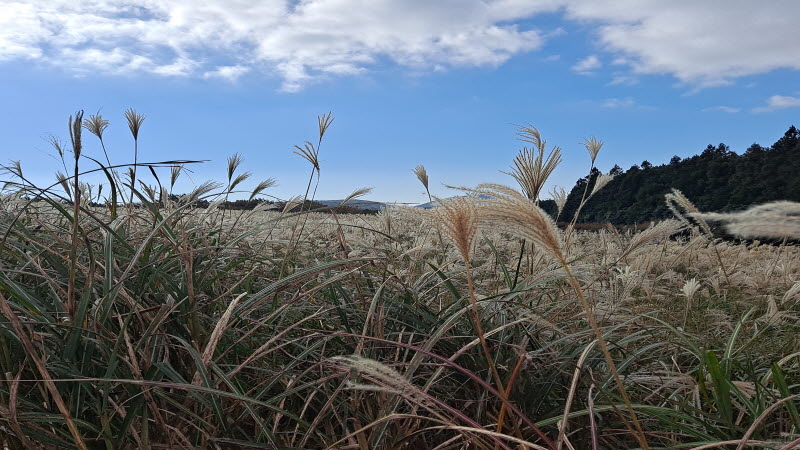 제주여행_산굼부리