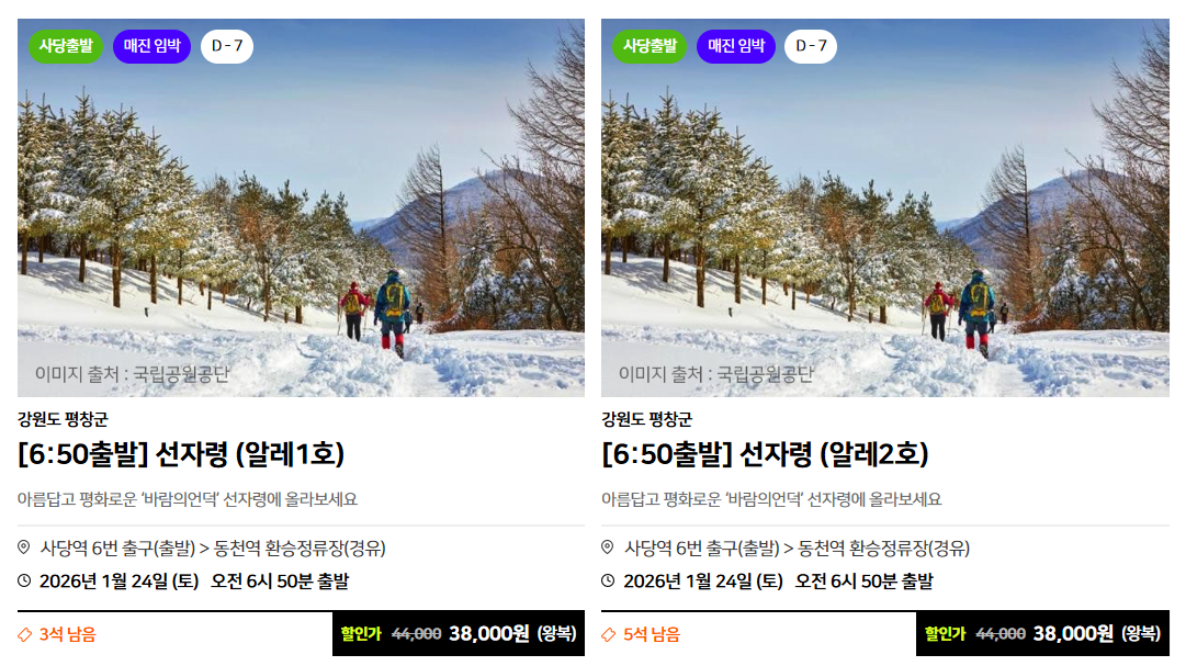알레버스 버스 투어