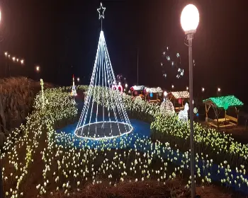 고니골 빛 축제_8