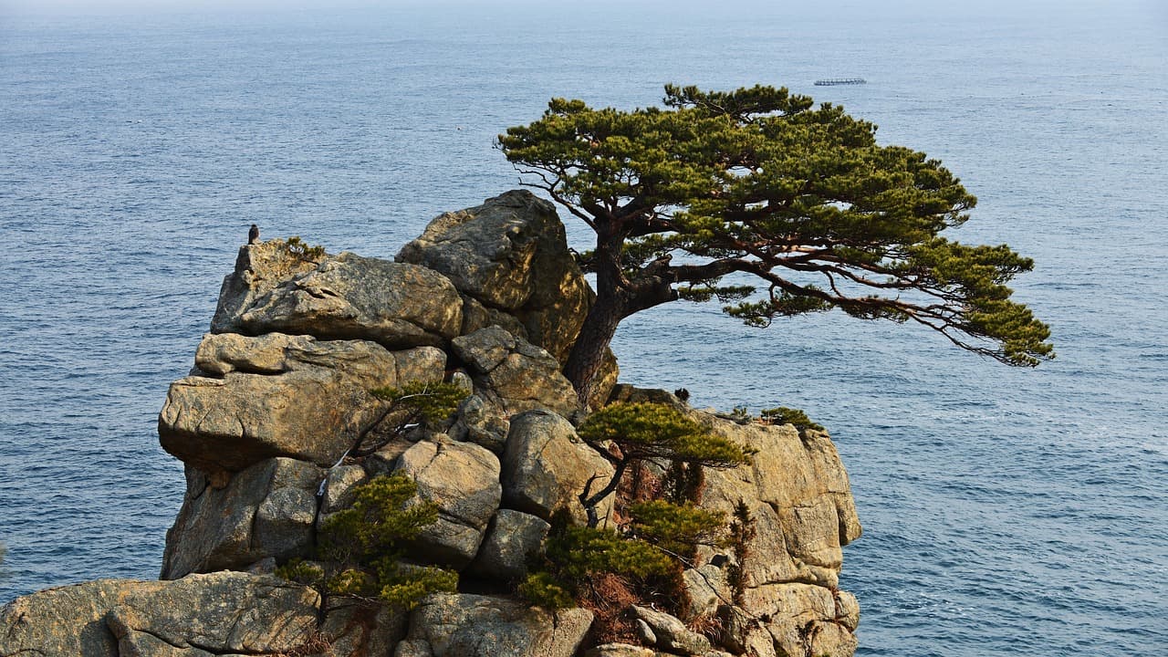 예산 추사고택, 문방사우와 함께한 사색의 하루